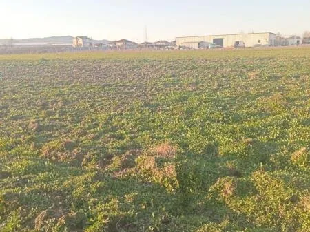 🏡 Toke ne shitje » Tapizë, Tirane