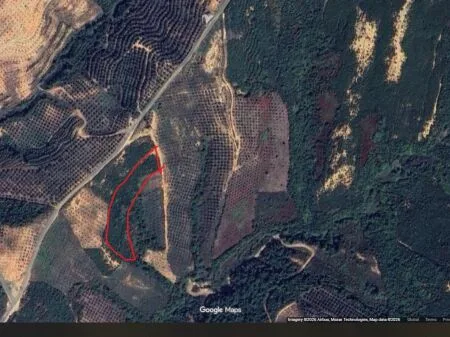 🏡 Toke ne shitje » Tapizë, Tirane 5