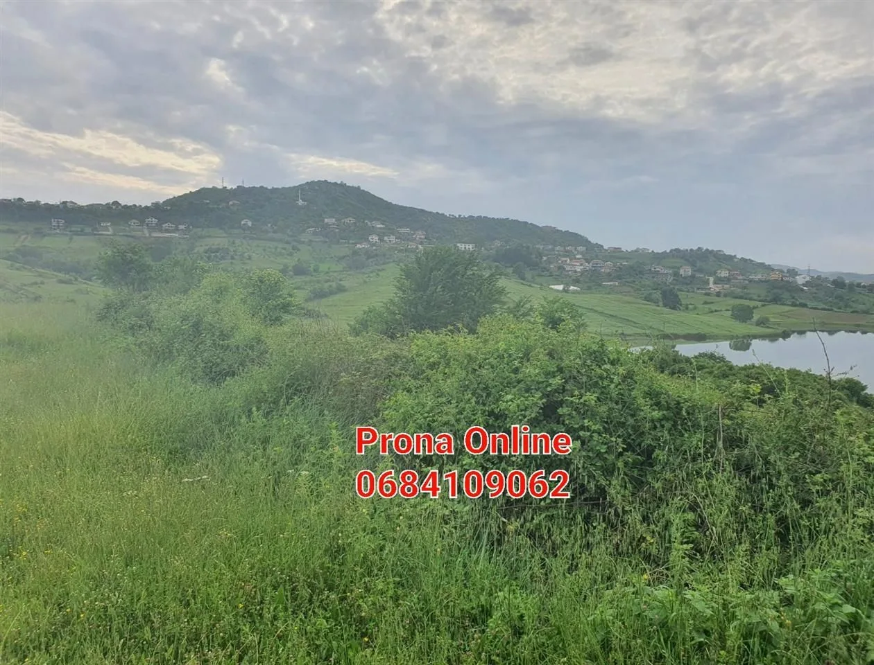 SHITET 2.400 m2 tokë pranë Liqenit të Kasharit 5