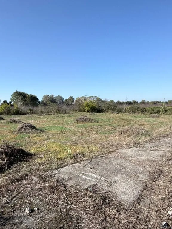 SHITET TOKE GJIRI LALEZIT VIJA PARE ME RRUGEN 3