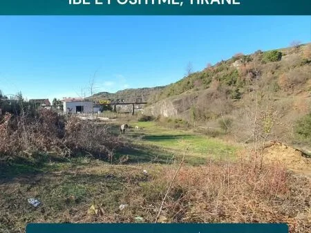 TOKE NE SHITJE, 1400 M2, Ibë e Poshtme, Tirane 7