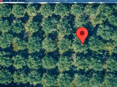 TOKË NË SHITJE 750M2 "RRUGA AULONA, FIER" 45,500 EURO 6