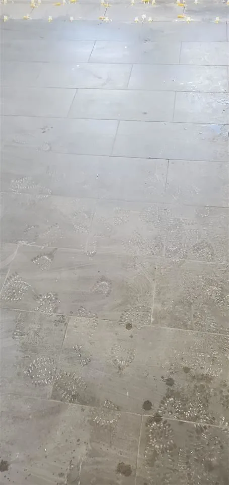 SHTRUES PLLAKASH, 14