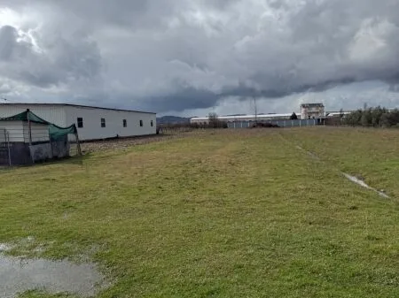 🏡 Toke ne shitje » Tapizë, Tirane 6