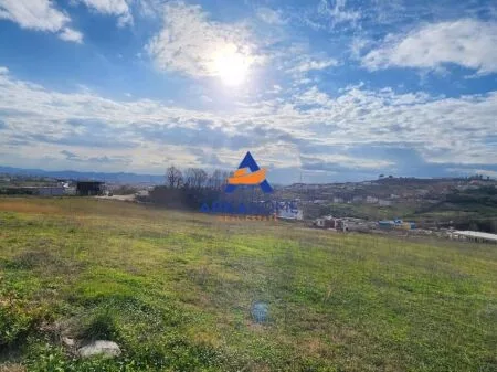 SHITET TOKE NE BABRRU 80000 M2 "BABRRU, KAMEZ" 760.000 EURO