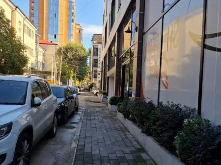 Zyre me qera Rruga George Bush, Perballe Parlamentit, Tirane 10