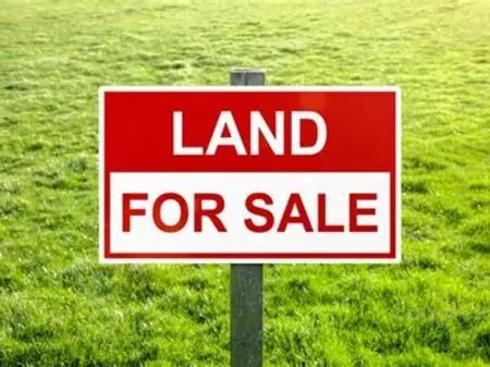 Shesim tokë dhe magazinë në Kamëz! 4