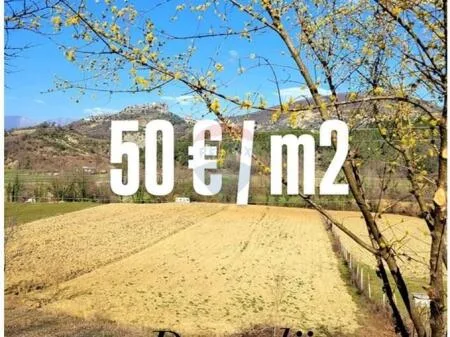 SHITET TOKE 2300M2 "NE PETRELE" 34.500.000 LEKE 6