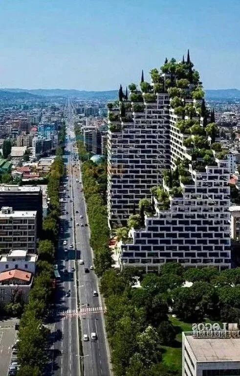 Shitje, Apartament 1+1, Zogu Zi, Lion2 Residence! 2