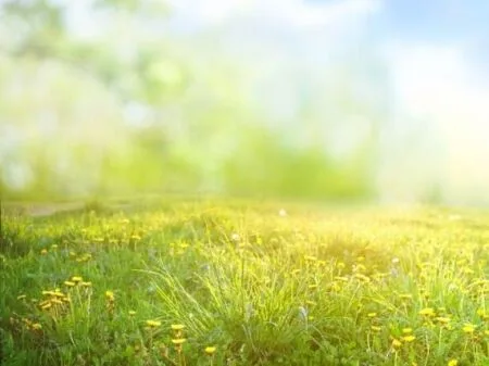 Shitet, Are+Truall, Vorë, Tiranë.