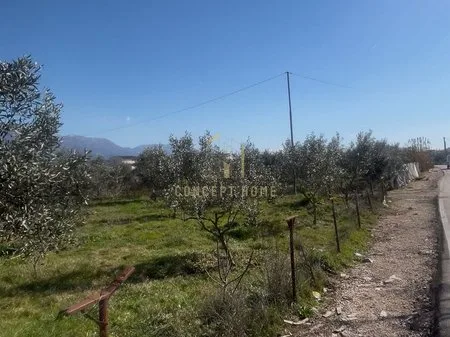 🏡 Toke ne shitje » Kamez, prane Rruga "Miqesia", Tirane
