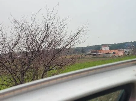 SHITET TOKE GJIRI LALEZIT VIJA PARE ME RRUGEN 9