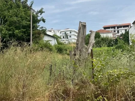 🏡 Toke me qera » Sauk i ri, rruga "Daxhit", Tirane