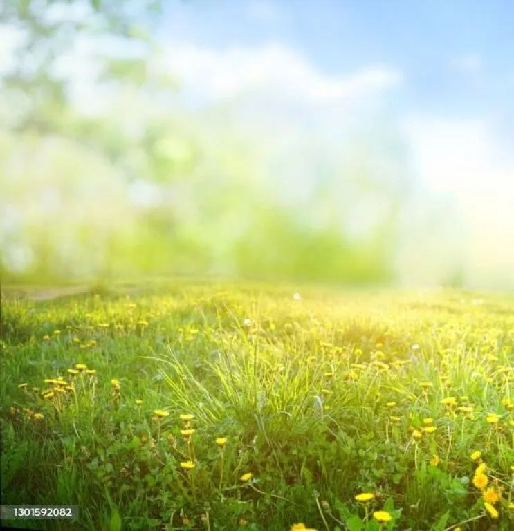 🏡 Toke ne shitje » Pamje nga Autostrada "Tiranë-Durrës", Tirane 2
