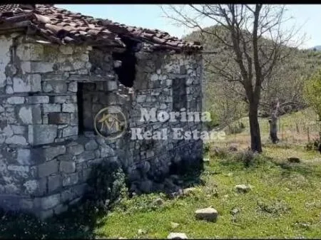 🏡 Toke ne shitje » Baldushk, Tirane 3