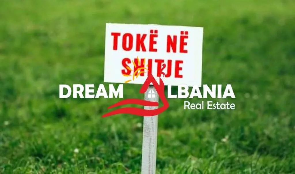 Shitet toke tek rruga Panorama e Liqenit ne Farke 2