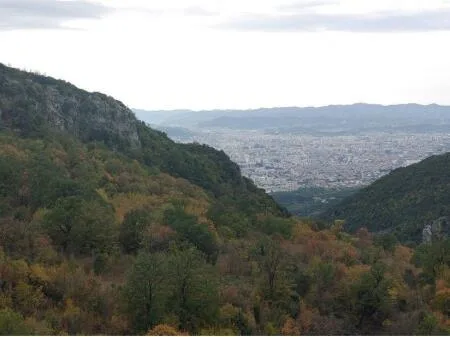 Shitet tokë në Ferraj - 20,000 m2 4