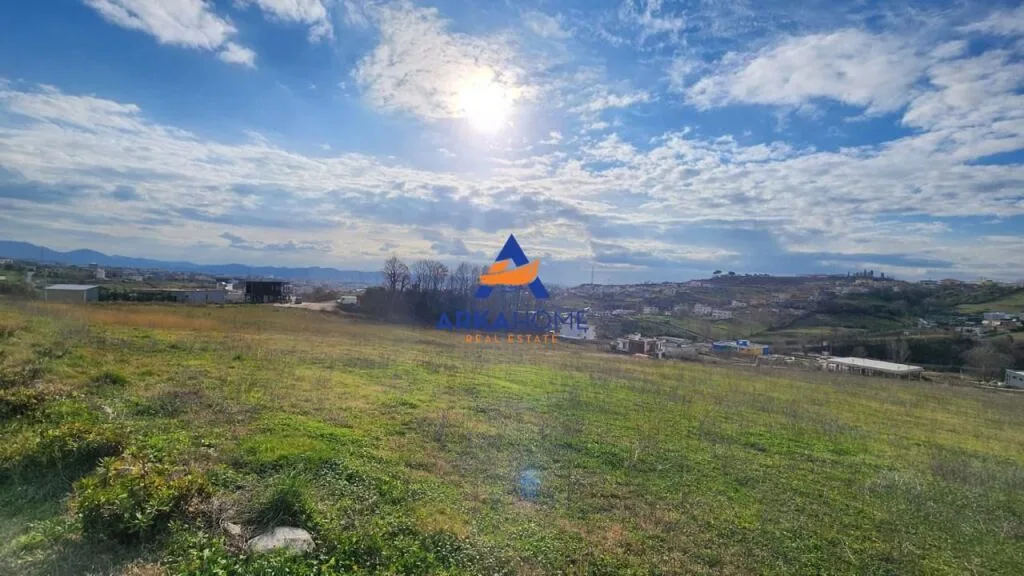 SHITET TOKE NE BABRRU 80000 M2 "BABRRU, KAMEZ" 760.000 EURO 2