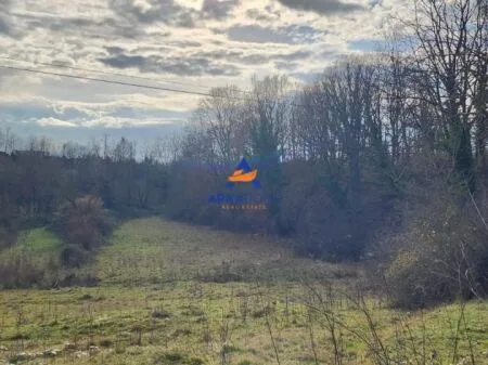 SHITET TOKE NE BABRRU 80000 M2 "BABRRU, KAMEZ" 760.000 EURO 5