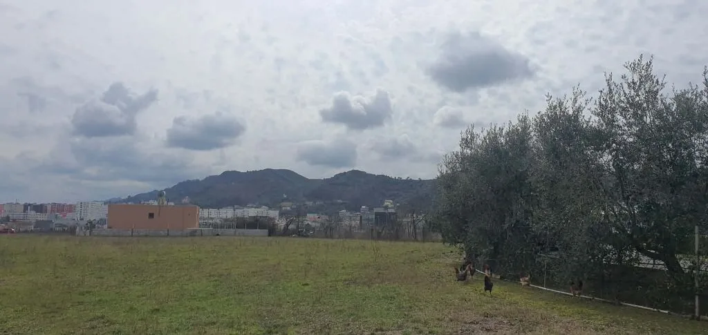 SHITET 10 000 M2 TOKE NE VORE, TIRANE-DURRES 8