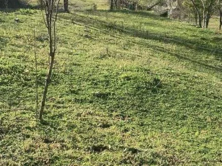 🏡 Toke ne shitje » Baldushk, Tirane 2