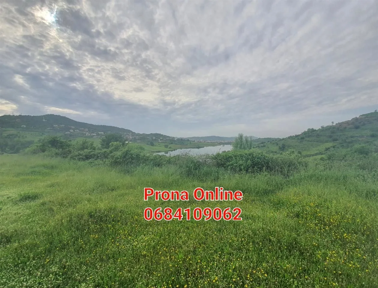 SHITET 2.400 m2 tokë pranë Liqenit të Kasharit 14