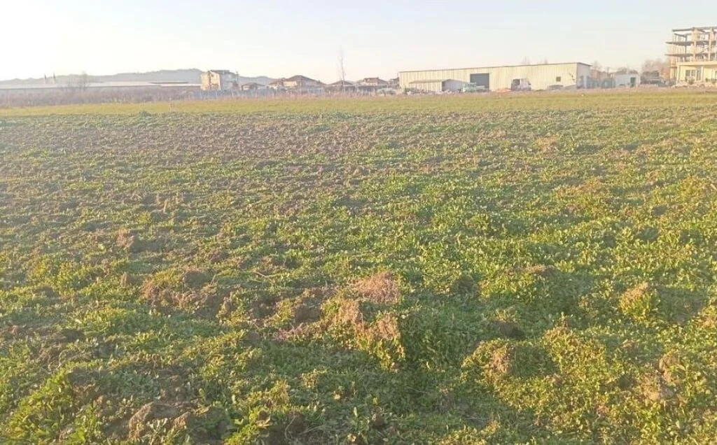 🏡 Toke ne shitje » Tapizë, Tirane 2