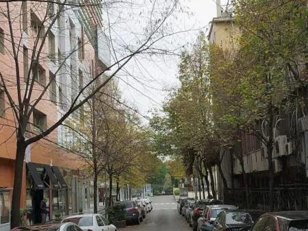 Ambjent Biznesi Me Qera » Liceu Artistik, Tirane 3