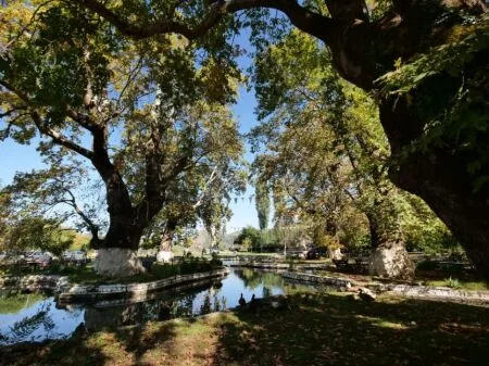 Shitet Truall ne Qender te Pikes Turistike GJINAR, Elbasan ID(4191045) 11