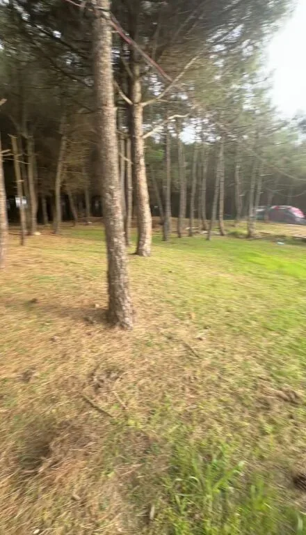 SHITET TOKE VIJE E PARE SPILLE, KAVAJE 3