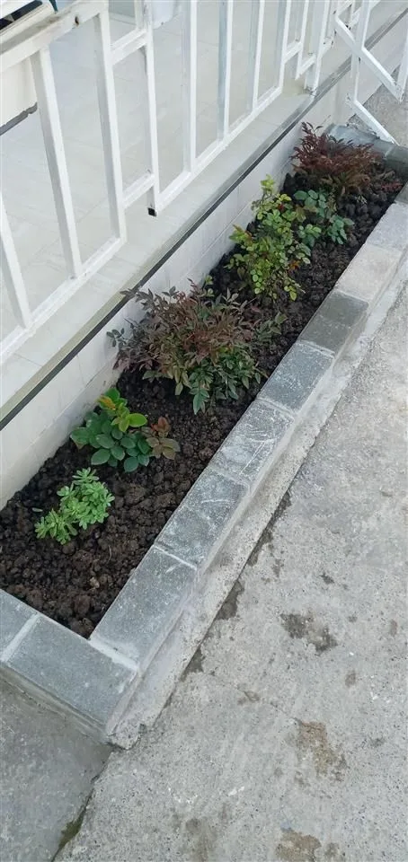 Suvatime dhe riparime 2