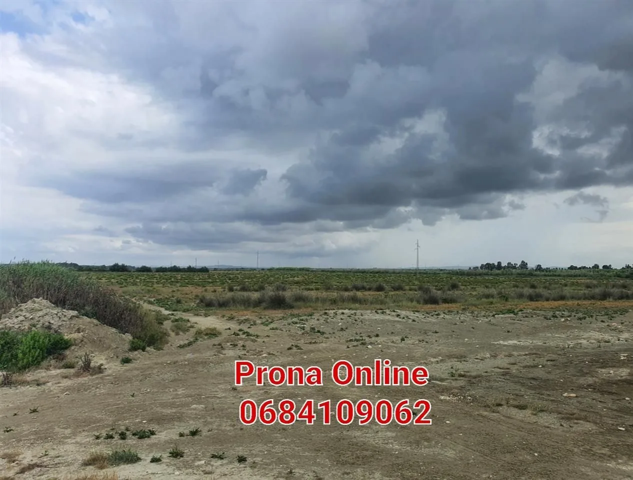 SHITET 5,6 Hektarë tokë në SheqMarinas Fier. 11