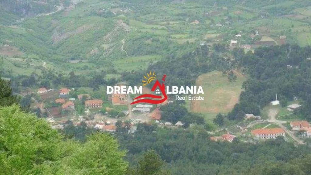 Shitet Truall ne Qender te Pikes Turistike GJINAR, Elbasan ID(4191045) 3