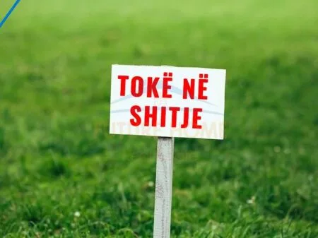 🏡 Toke ne shitje » Rruga Dajti, Tirane 6