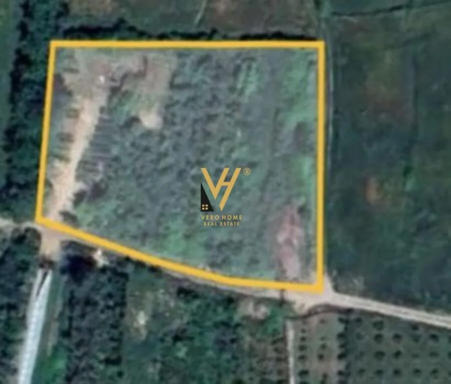 SHITET TOKE 4.600 M2 NE FARKE TE VOGEL 920.000 EURO 2