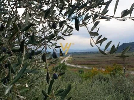 SHITET TOKE ULLISHTE 2.500 M2 NE RROGOZHINE 75.000 EURO