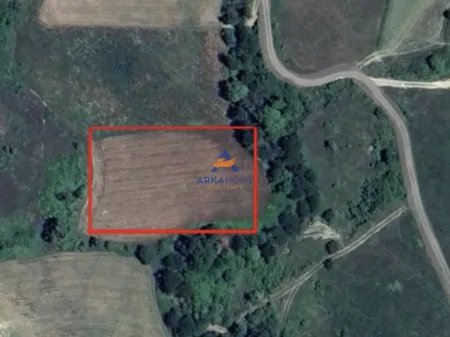 🏡 Toke ne shitje » Rruga, Tirane 7