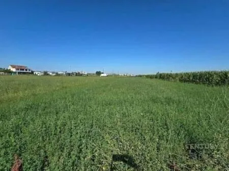 SHITET TOKE 8700 M2 "QEREKE, VORE" 300.000 EURO 5