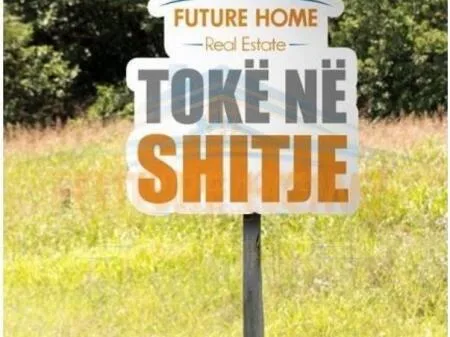 SHITET TOKE VIJE E PARE SPILLE, KAVAJE 7