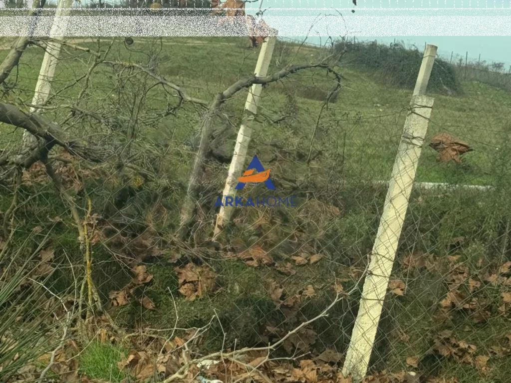 JEPET TOKË ME QERA 600M2 "FARKË" 1000 EURO 2