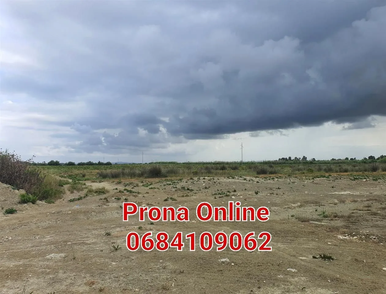 SHITET 5,6 Hektarë tokë në SheqMarinas Fier. 2