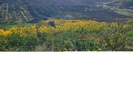 🏡 Toke ne shitje » Rrashbull, Durres 4