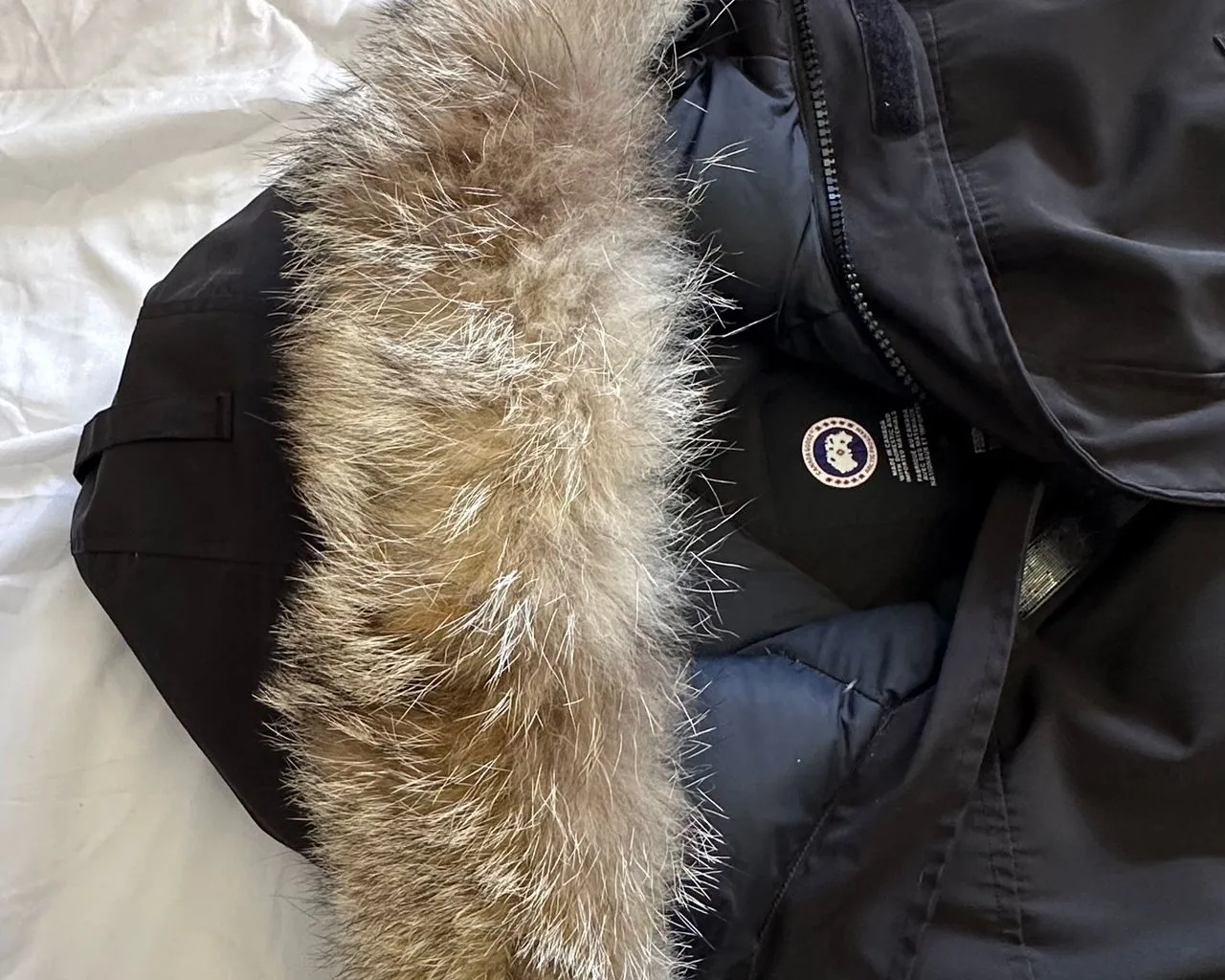 SHITET XHUP CANADA GOOSE 2