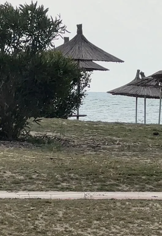 SHITET TOKE VIJE E PARE SPILLE, KAVAJE 2