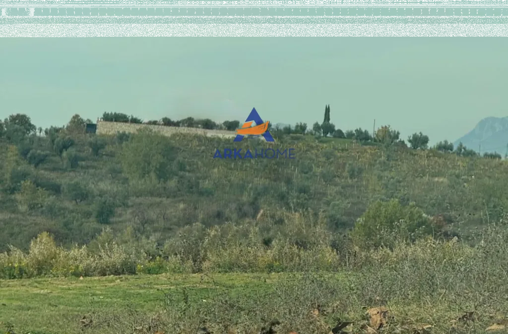 JEPET TOKË ME QERA 5000M2 "FARKE" 50.000 LEKE 2