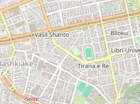 Shesim Dyqan dhe 2 Garsoniere buze Rruges se Durresit, Tirane! 5