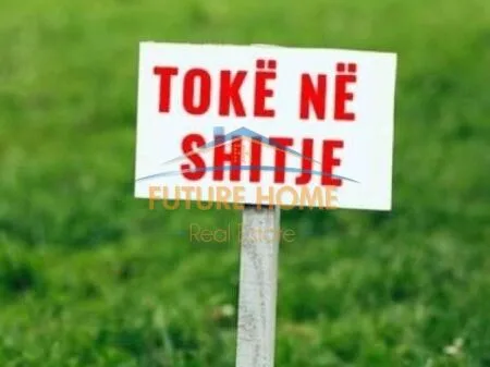 Shitet toke ne zonen e Saukut 5