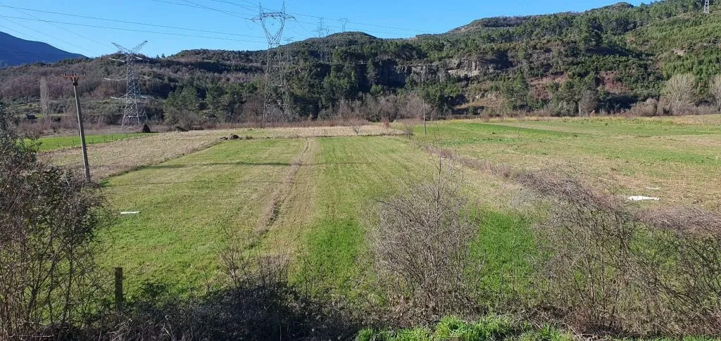 TOKE NE SHITJE, 1400 M2, Ibë e Poshtme, Tirane 4