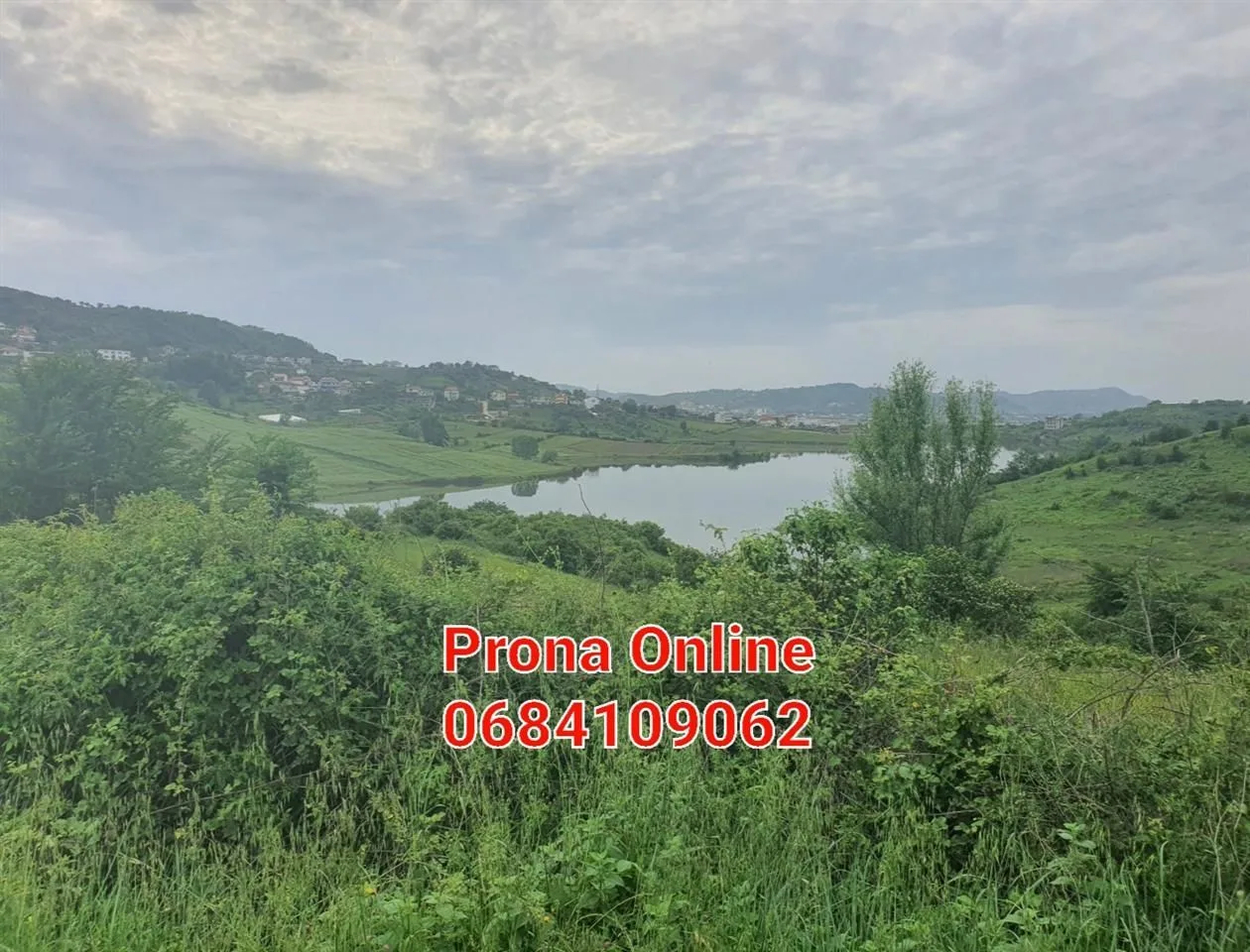 SHITET 2.400 m2 tokë pranë Liqenit të Kasharit 12