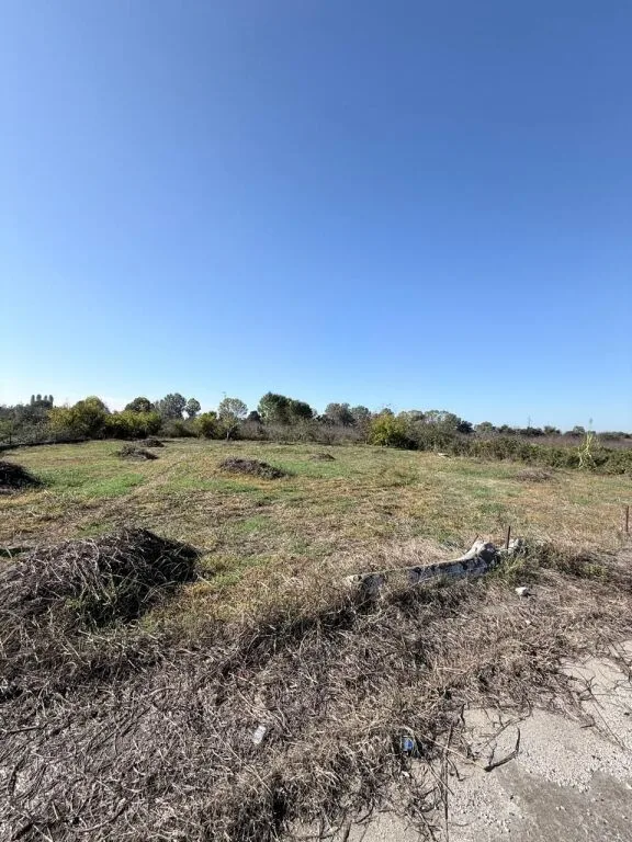 SHITET TOKE GJIRI LALEZIT VIJA PARE ME RRUGEN 5